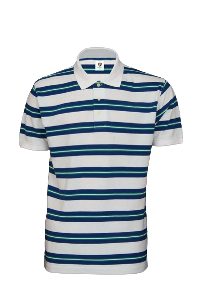 Polo Knitted Shirt - Vigour Impex