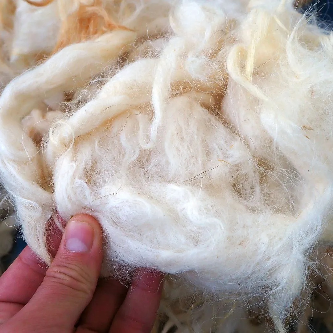 Trusted Yarn Supplier - Vigour Impex