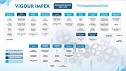 Organo Chart - Vigour Impex