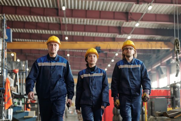 2 Man And 1 Girl Workers Or Engineer - Vigour Impex