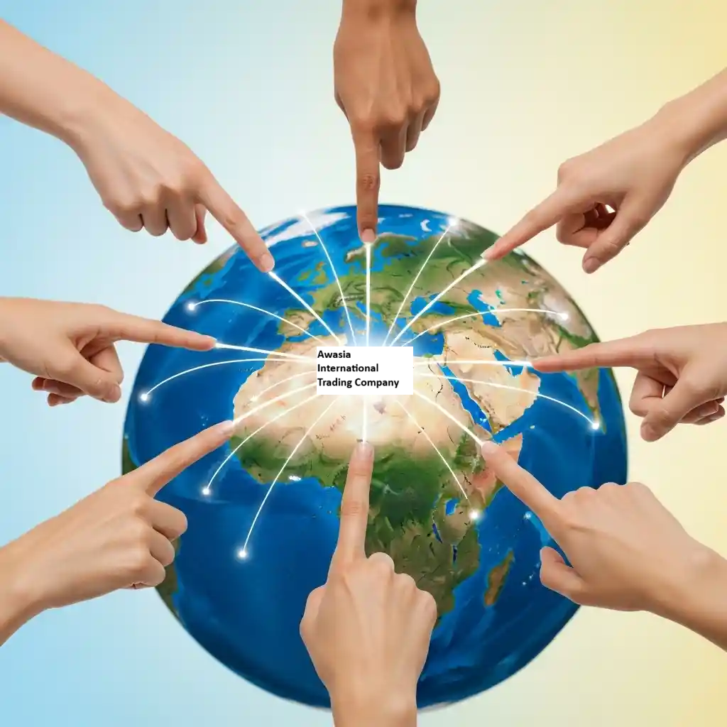 Why Global Buyers Choose Vigour Impex