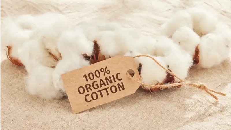 Cotton Price Volatility Affects UK Textile Imports